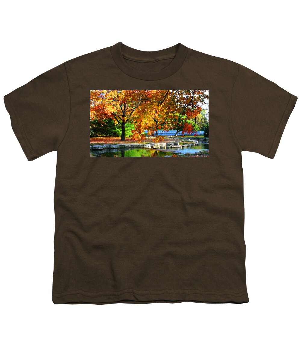 Landscape Youth T-Shirt featuring the photograph Forest Park Fall Trees Color Stream Landscape by Patrick Malon