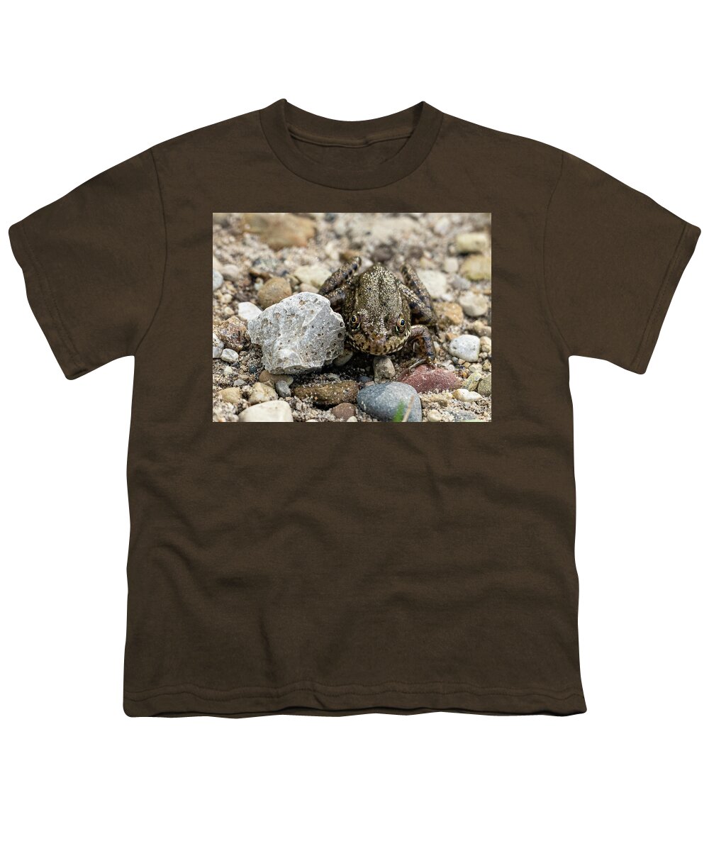 Frog Nature Trail Illinois Beach State Park Youth T-Shirt featuring the photograph Frog on the Nature Trail - Illinois Beach State Park by David Morehead