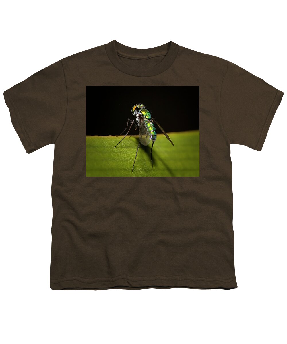 Long Legged Fly Youth T-Shirt featuring the photograph Garden Fly Prepares For Takeoff by Mark Andrew Thomas