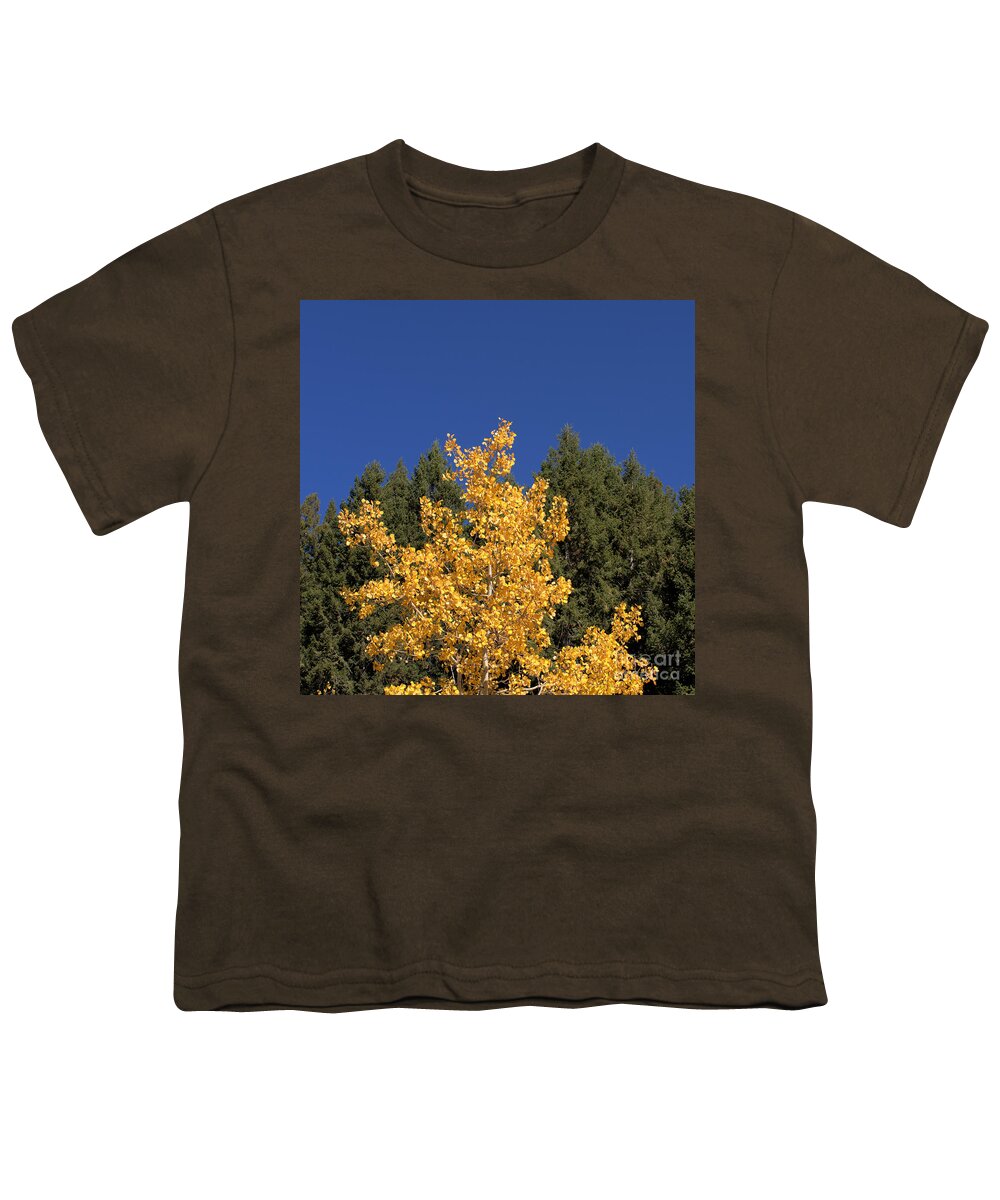 Tree Youth T-Shirt featuring the photograph Gold and Green by Kae Cheatham