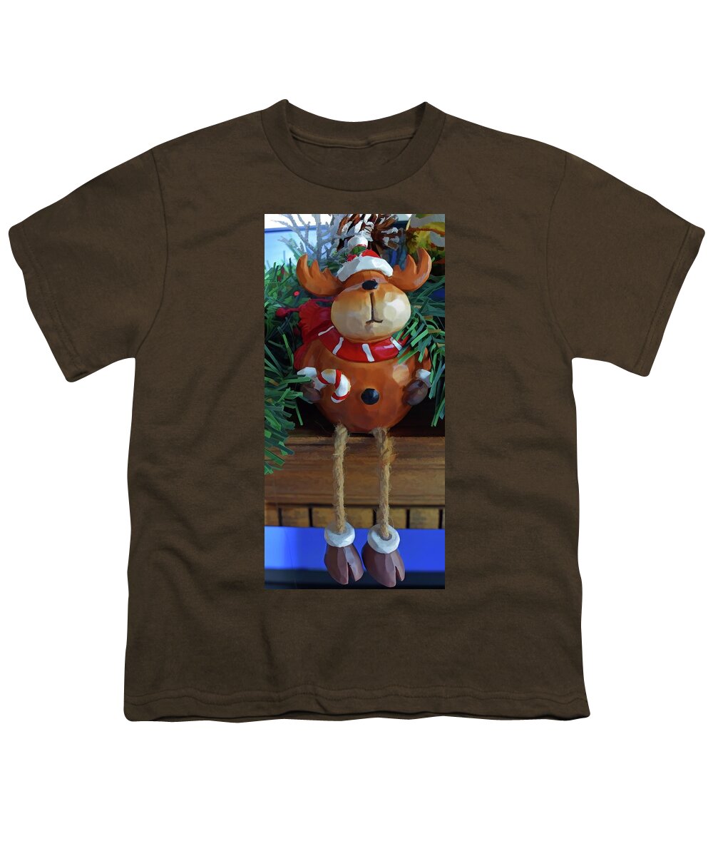 Christmas Décor Youth T-Shirt featuring the photograph Hanging Around Two by Roberta Byram