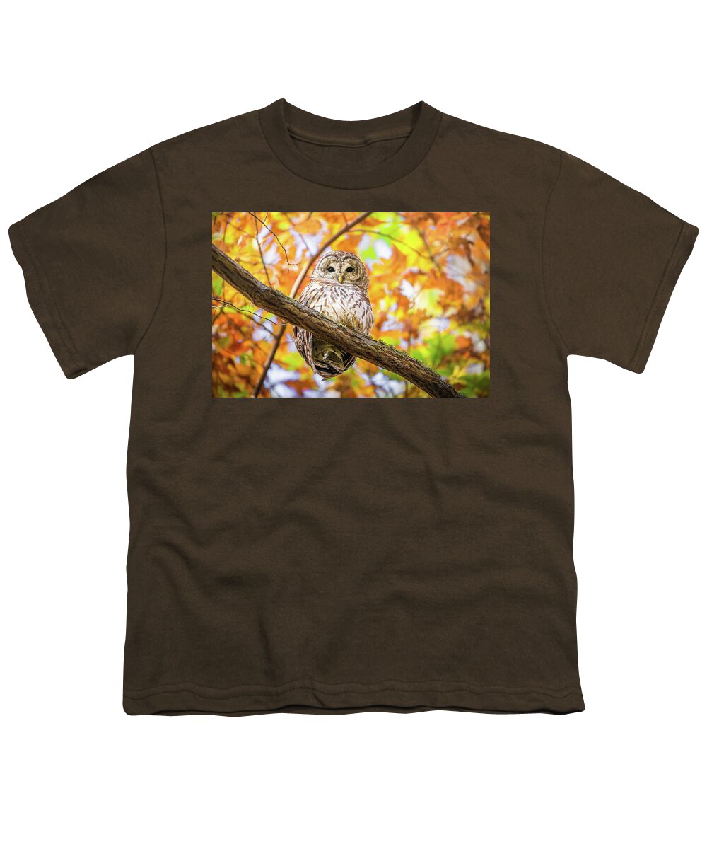 Barred Owl Youth T-Shirt featuring the photograph I See You by Jordan Hill