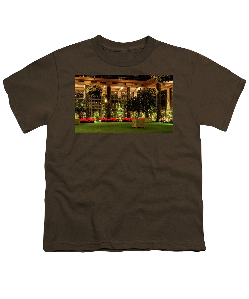 Christmas Tree Youth T-Shirt featuring the photograph Indoor Christmas Decerations by Louis Dallara