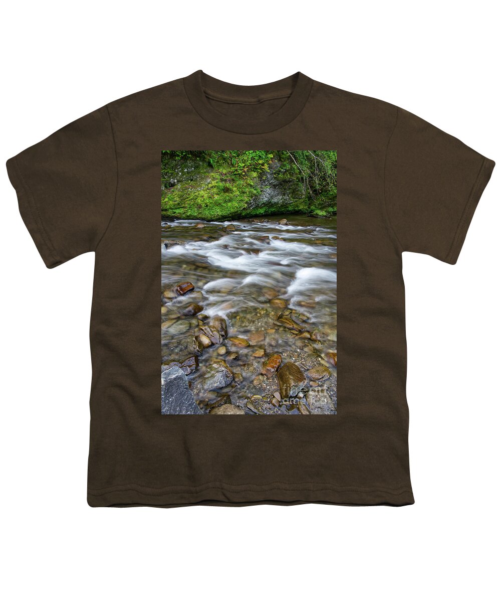 Smokies Youth T-Shirt featuring the photograph Little River Rapids 13 by Phil Perkins