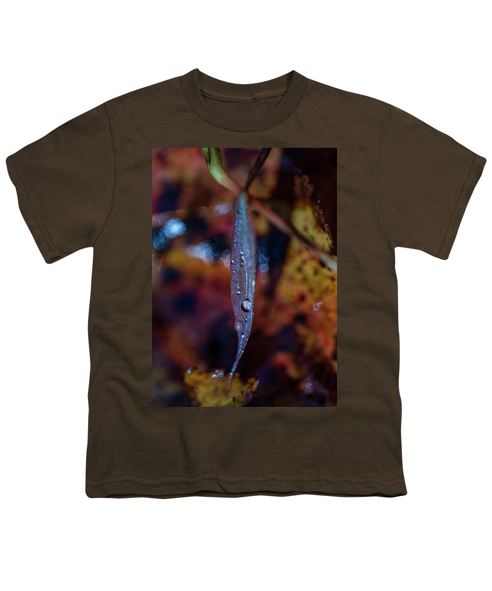 Fall Youth T-Shirt featuring the photograph Macro Photography - Autumn Water Drops by Amelia Pearn