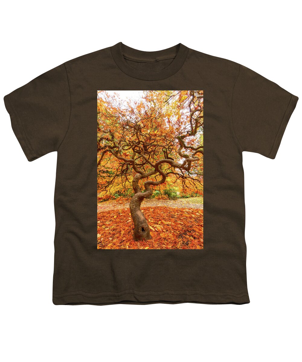Outdoor; Fall; Colors; Autumn; Tree; Maple; Maple Tree; Seattle; Garden; Arboretum; Washington Park Arboretum Youth T-Shirt featuring the digital art Maple at Woodland Park by Michael Lee