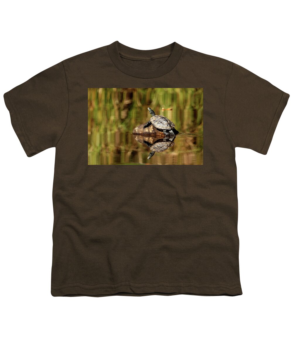 Turtles Youth T-Shirt featuring the photograph Northern Map Turtle by Debbie Oppermann