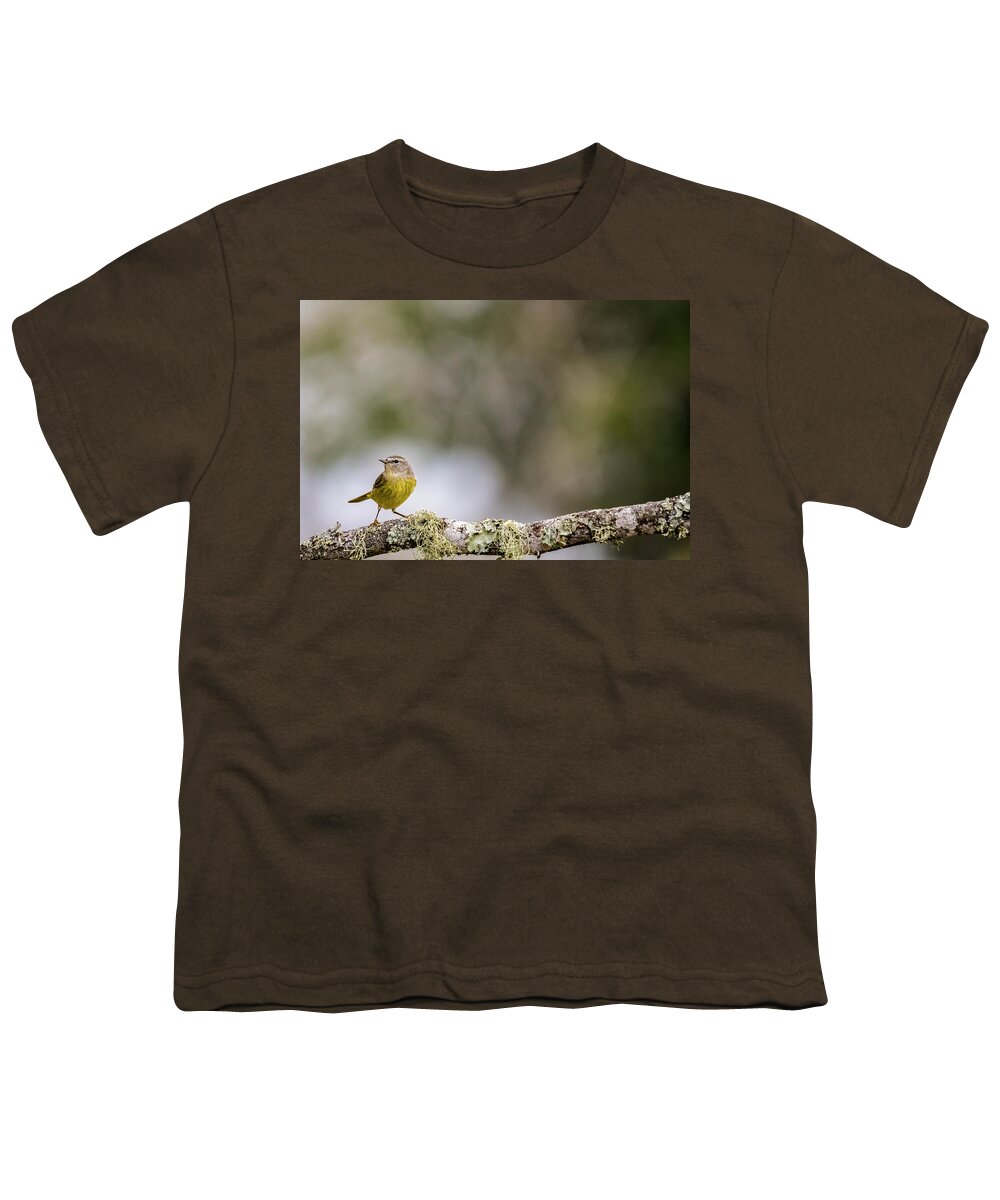 Orange-crowned Warbler Youth T-Shirt featuring the photograph Orange-Crowned Warbler by Cheri Freeman
