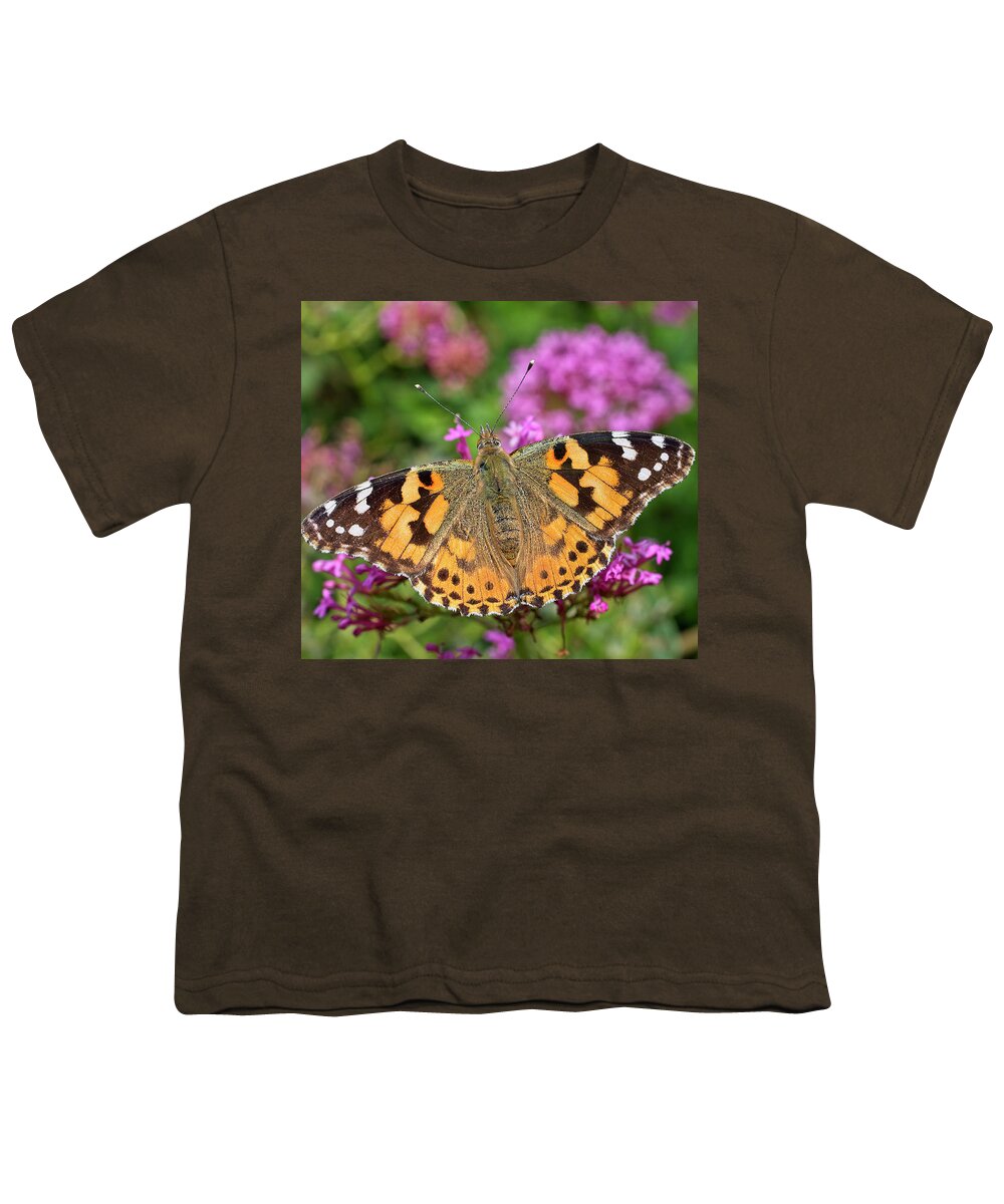 Painted Lady Youth T-Shirt featuring the photograph Painted Lady butterfly, Vanessa cardui by Tony Mills