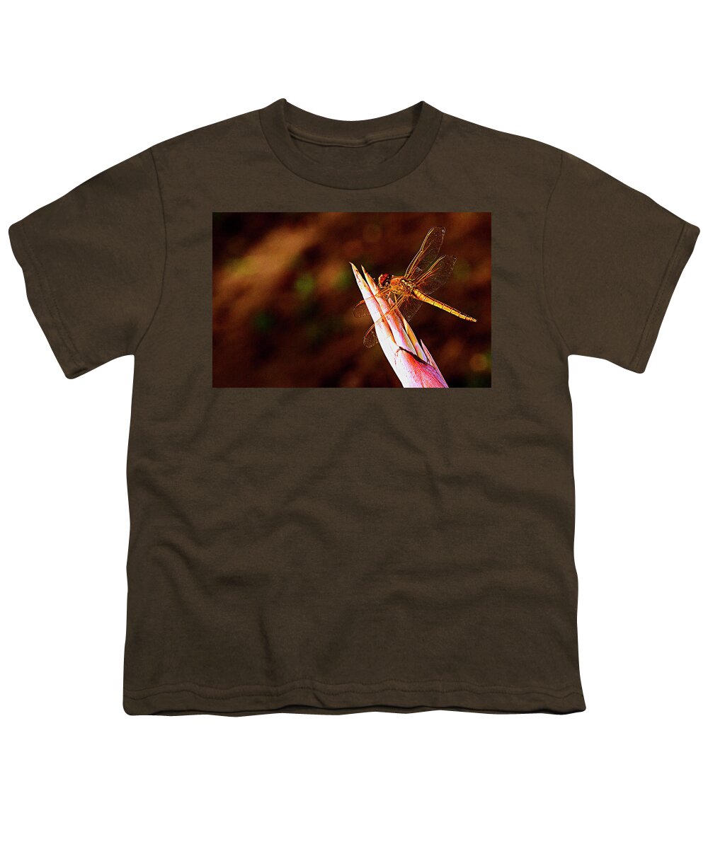 Dragonfly Youth T-Shirt featuring the photograph Perching Dragon by Bill Barber