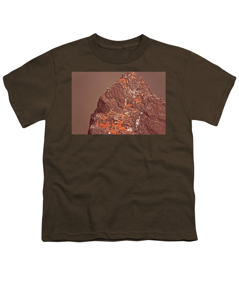 Abstract Youth T-Shirt featuring the digital art Red Rock, Oragge Moss by David Desautel