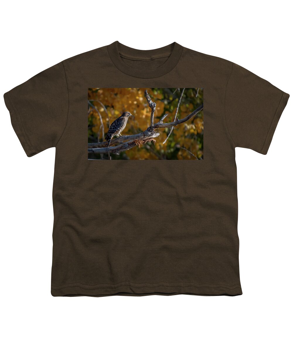 Red Shouldered Hawk Youth T-Shirt featuring the photograph Red Shouldered Hawk by Rick Mosher