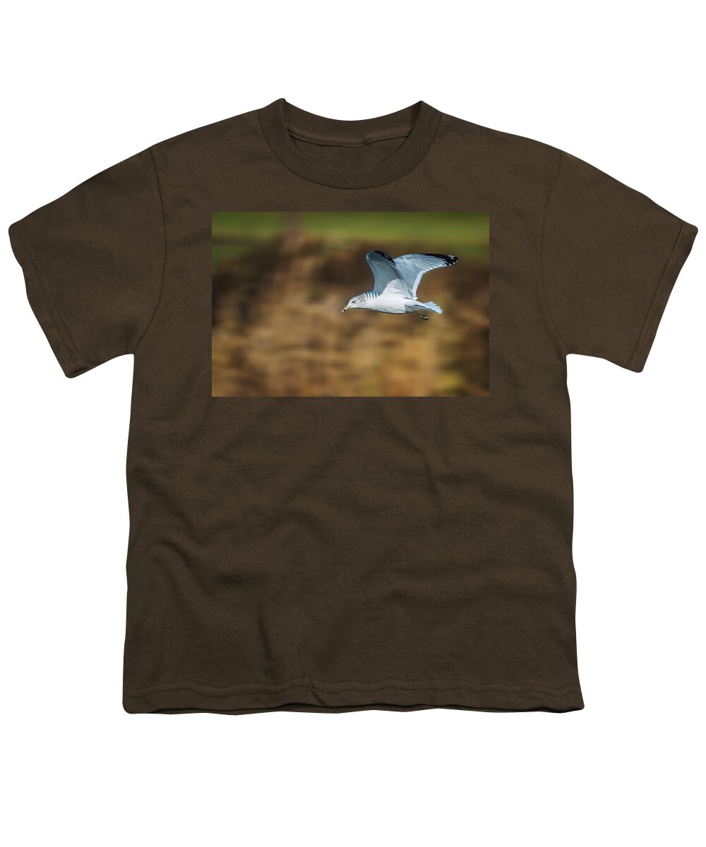 Ring Billed Gull Youth T-Shirt featuring the photograph Ring-Billed Gull by Alexander Image