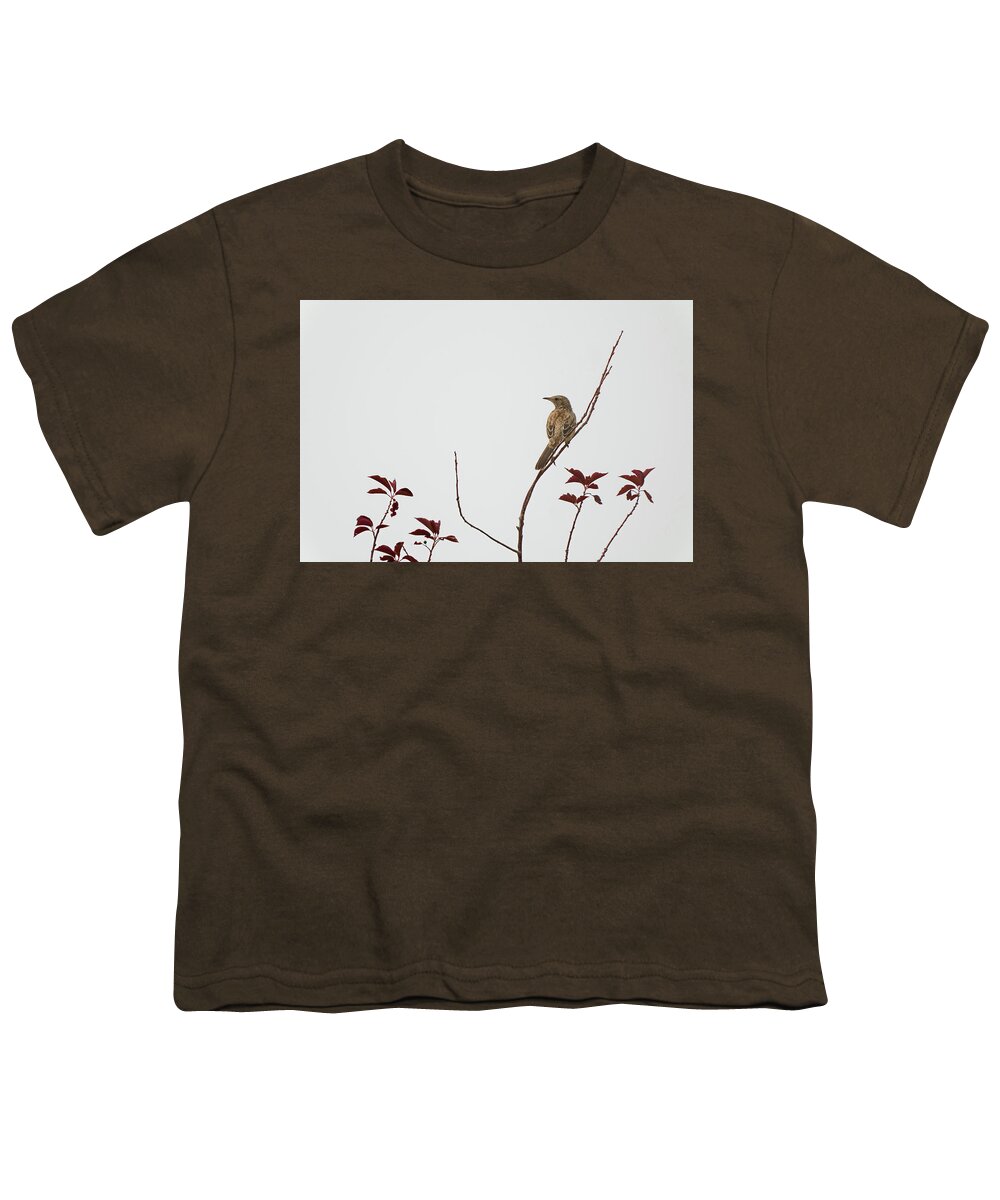 Femele Juvenille Mountain Bluebird Youth T-Shirt featuring the photograph Sage Trasher by Julieta Belmont