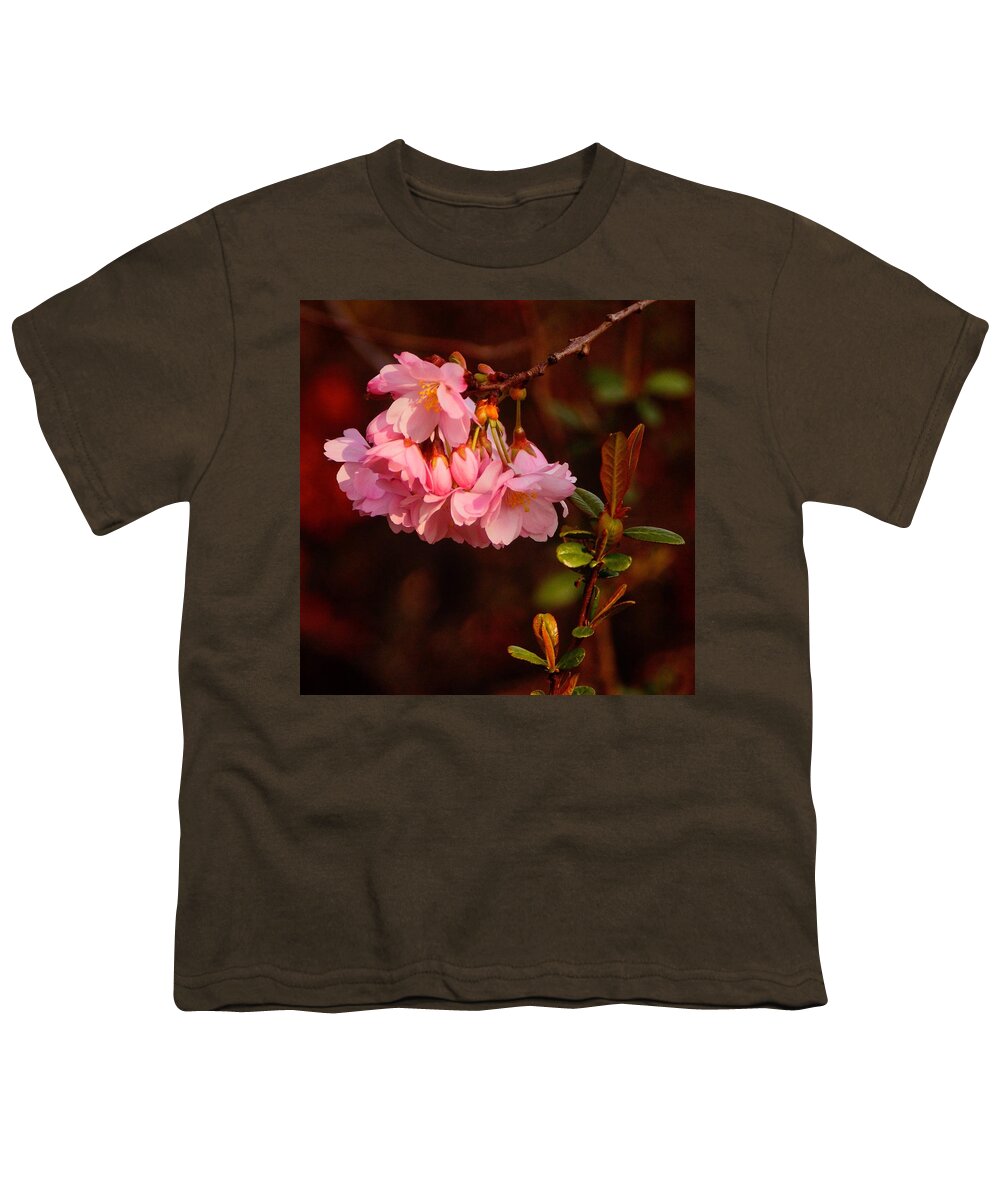 Spring Youth T-Shirt featuring the photograph Spring has Sprung by Richard Cummings