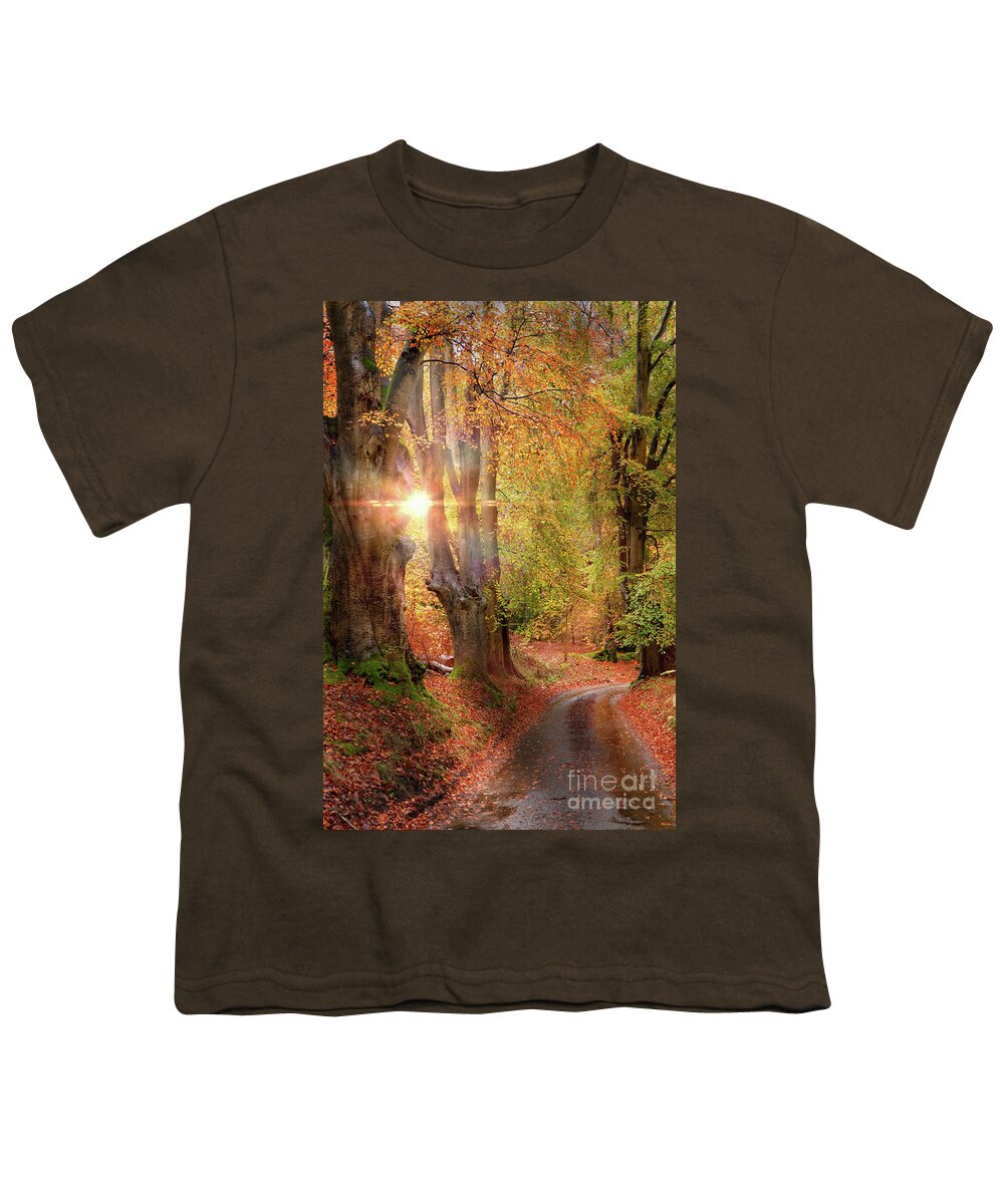 Autumn Youth T-Shirt featuring the photograph Stunning autumn forest road at sunrise in Norfolk by Simon Bratt