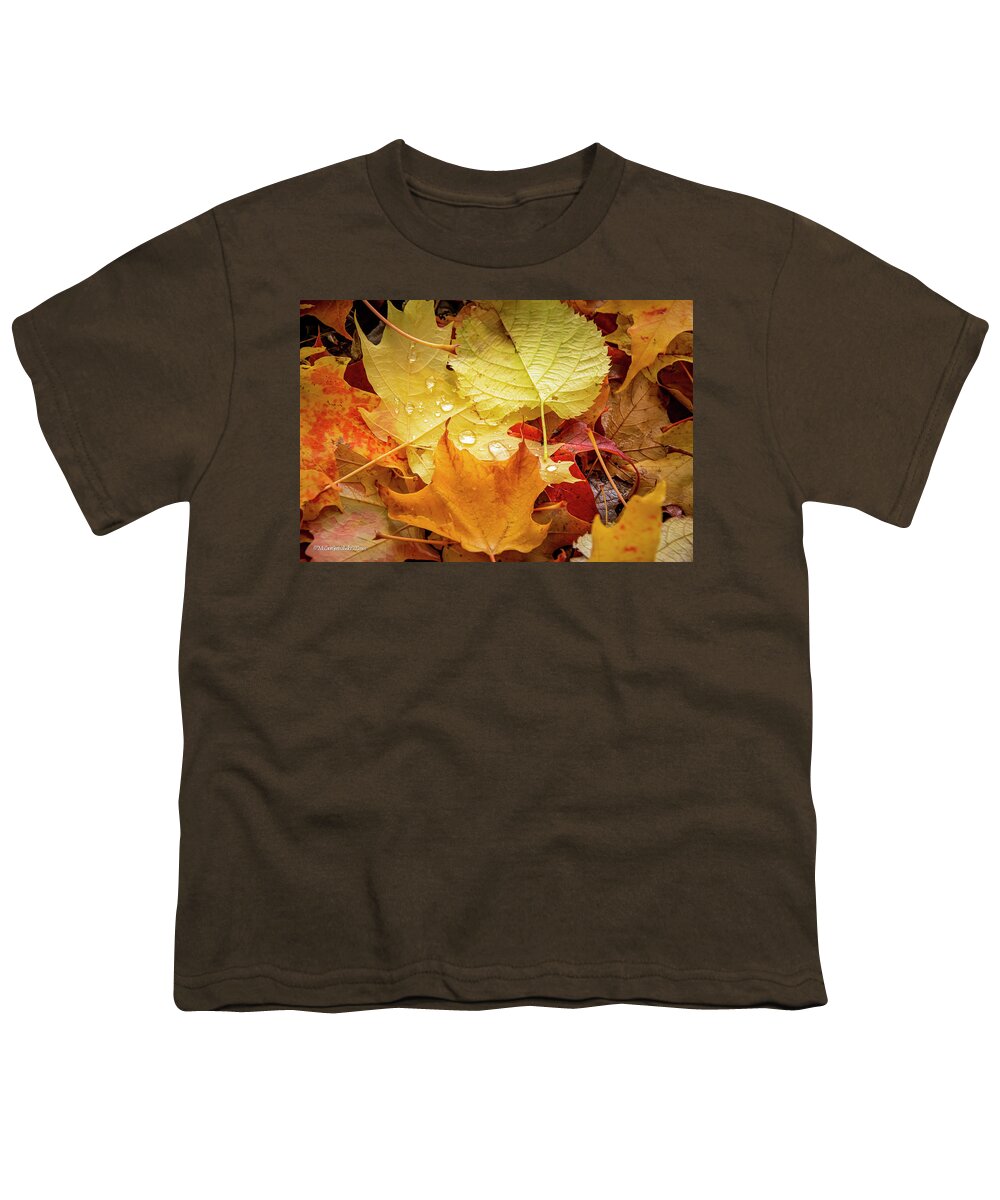 Leaves In Fall Youth T-Shirt featuring the photograph Sunshine and Rain Drops Fall Magic by LeeAnn McLaneGoetz McLaneGoetzStudioLLCcom