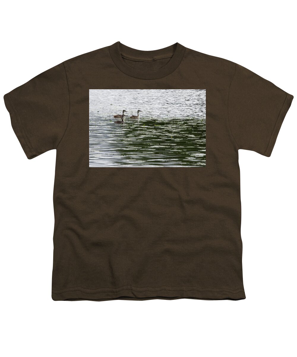 Finland Youth T-Shirt featuring the photograph Trio. Great crested grebe, young by Jouko Lehto