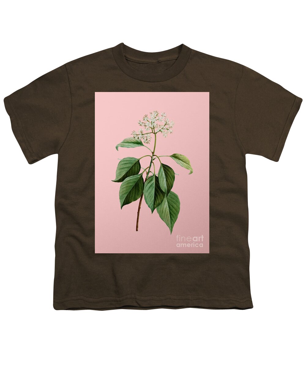 Holyrockarts Youth T-Shirt featuring the mixed media Vintage Pagoda Dogwood Botanical Illustration on Pink by Holy Rock Design