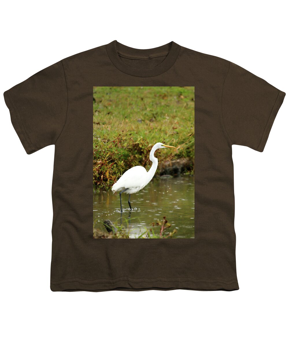 Animal Youth T-Shirt featuring the photograph White Egret by Lens Art Photography By Larry Trager