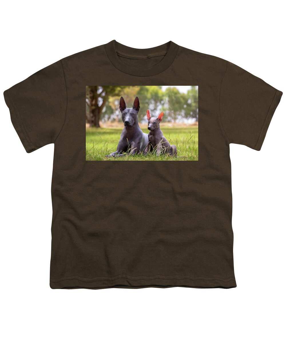 Xoloitzcuintli Youth T-Shirt featuring the photograph Xoloitzcuintli and Puppy by Diana Andersen