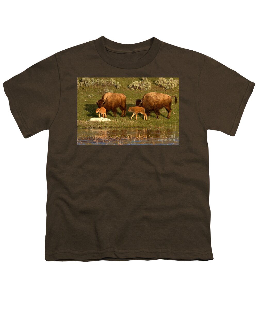 Yellowstone Youth T-Shirt featuring the photograph Yellowstone Bison Red Dog Season by Adam Jewell