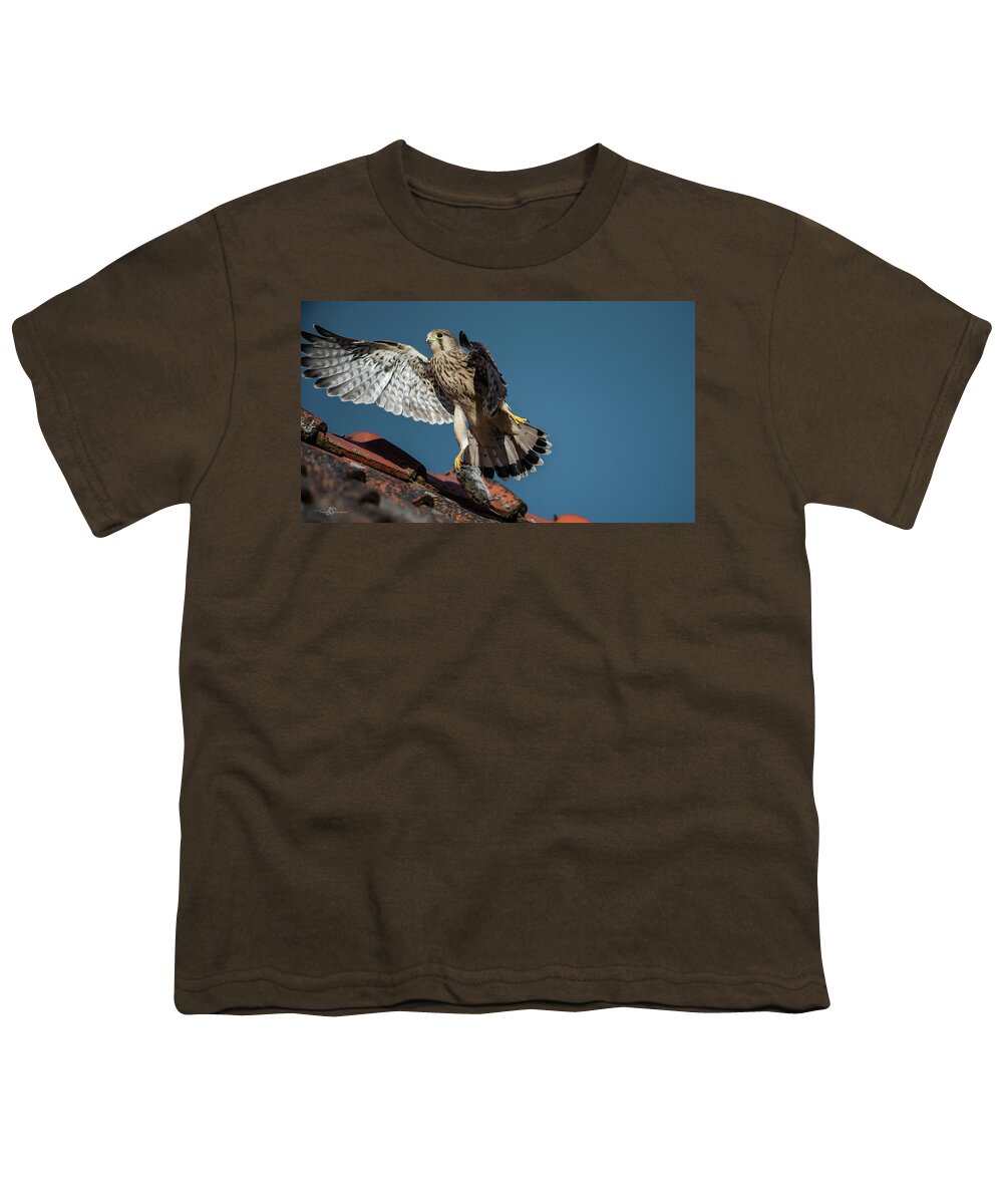 Young Kestrel Youth T-Shirt featuring the photograph Young flying Kestrel with the prey in the claw by Torbjorn Swenelius