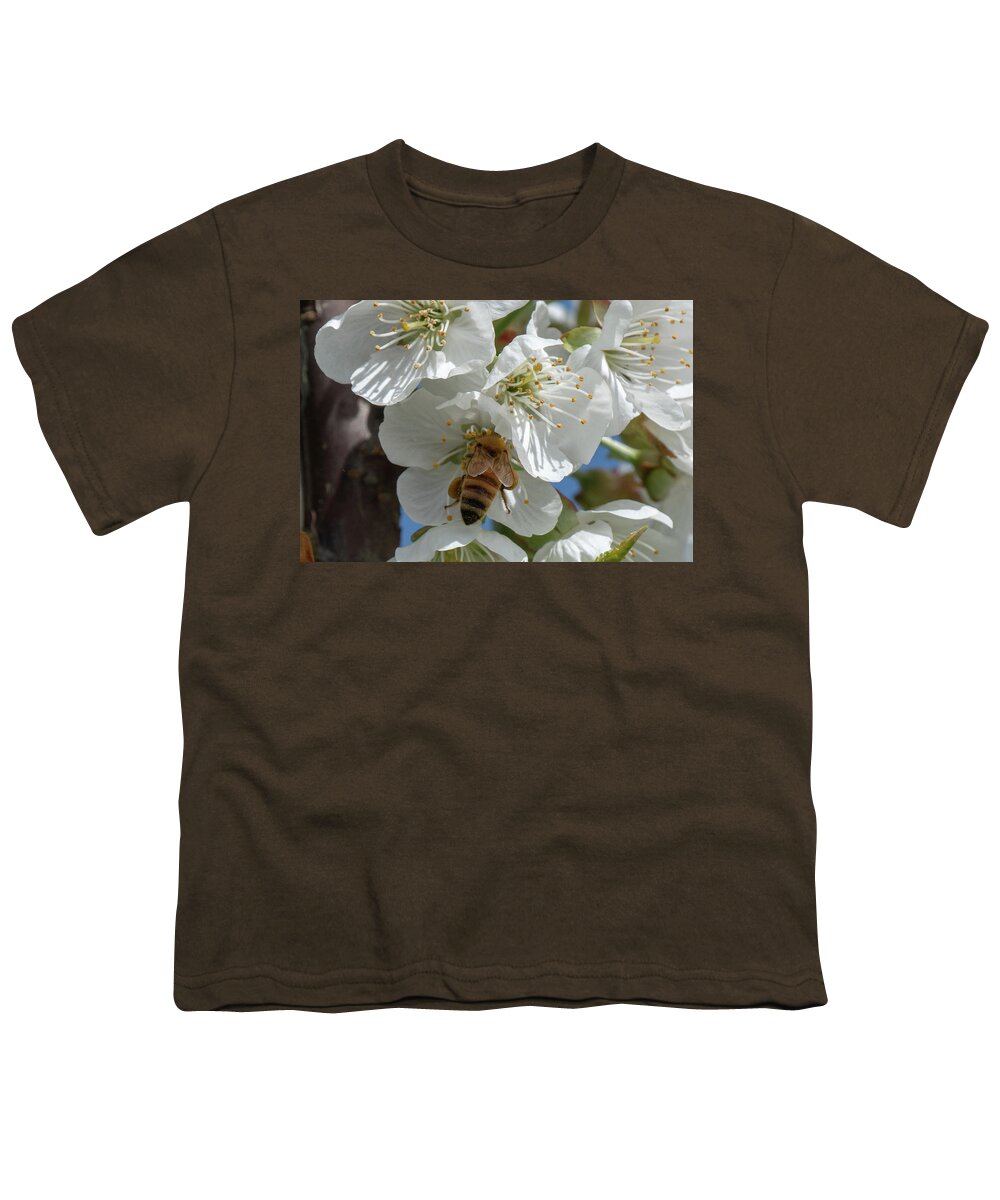 Bee Youth T-Shirt featuring the photograph Yummmm by Leslie Struxness