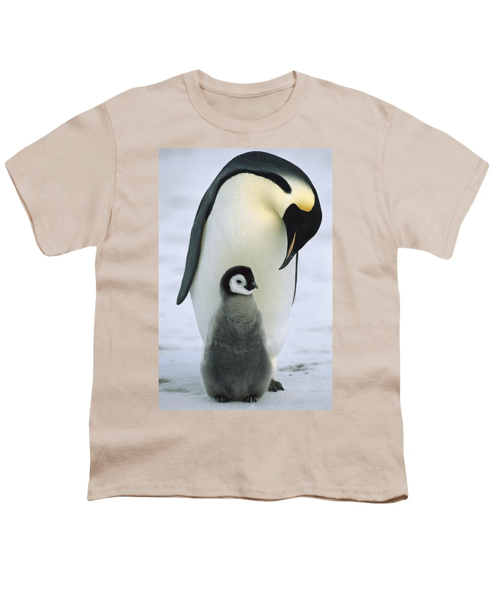 Feb0514 Youth T-Shirt featuring the photograph Emperor Penguin With Chick Antarctica #1 by Konrad Wothe