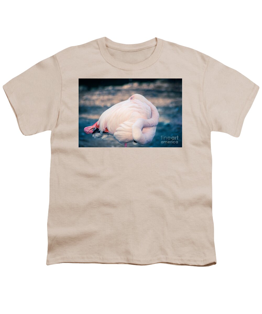 Animal Youth T-Shirt featuring the photograph Flamingo 2b #1 by Hannes Cmarits