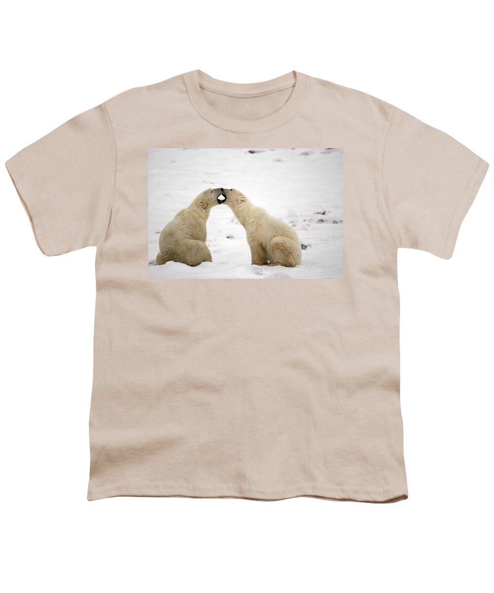 Day Youth T-Shirt featuring the photograph Polar Bears Play Fighting At Churchill #1 by Tom Soucek