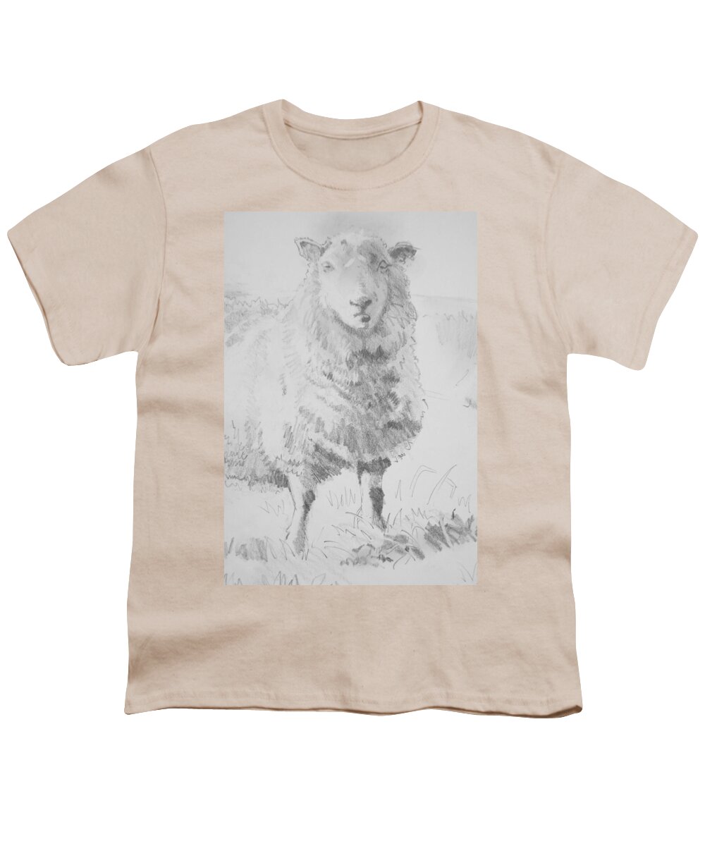 Sheep Youth T-Shirt featuring the drawing Sheep Pencil Drawing #1 by Mike Jory