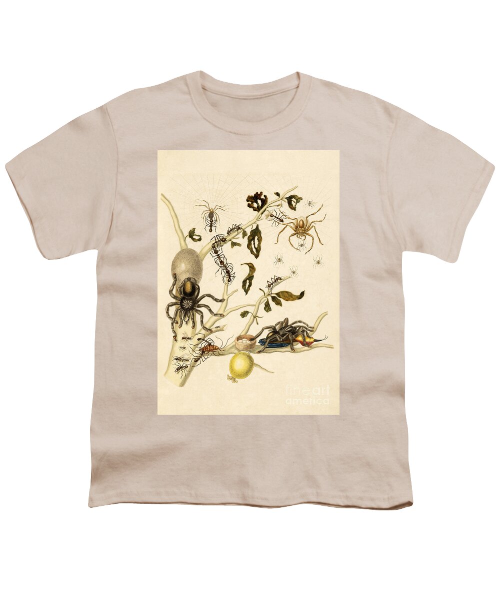Branch Youth T-Shirt featuring the photograph Ants, Spiders, Tarantula and Hummingbird by Getty Research Institute