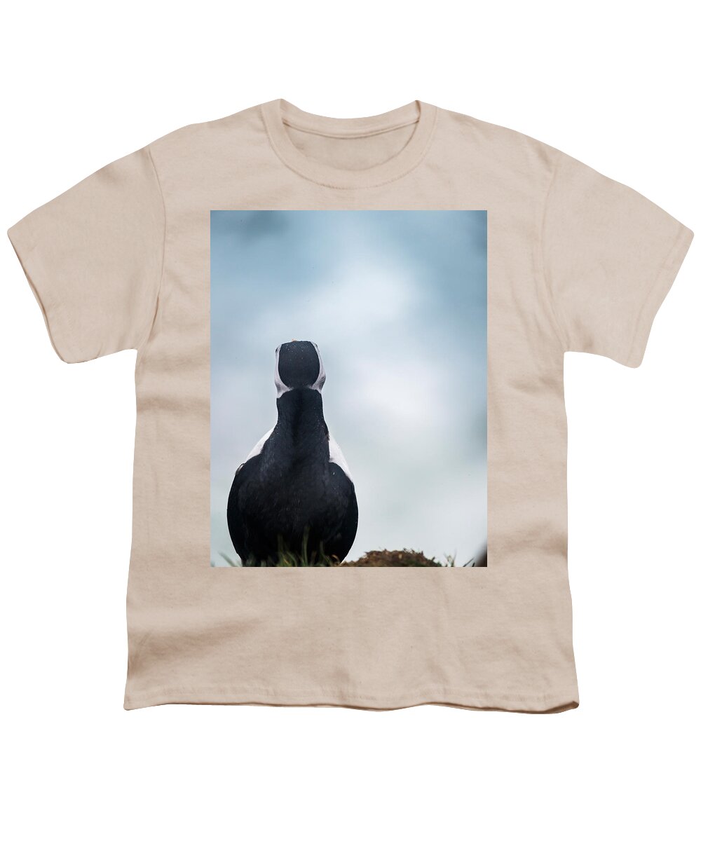 Photography Youth T-Shirt featuring the photograph Atlantic Puffin Fratercula Arctica by Panoramic Images