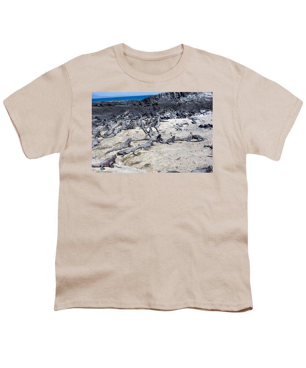 Iguana Youth T-Shirt featuring the photograph Basking Iguanas by Allan Morrison