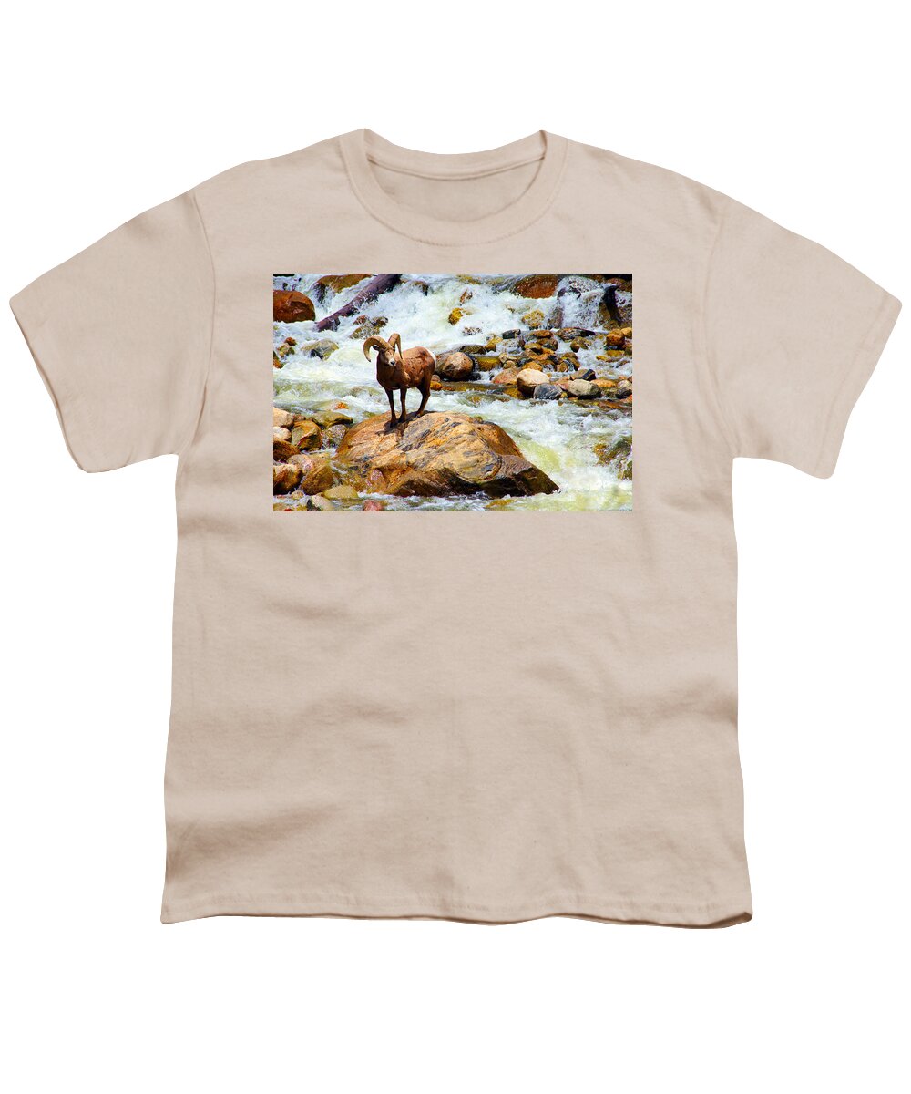 Bighorn Youth T-Shirt featuring the photograph Bighorn in a Waterfall by Tranquil Light Photography