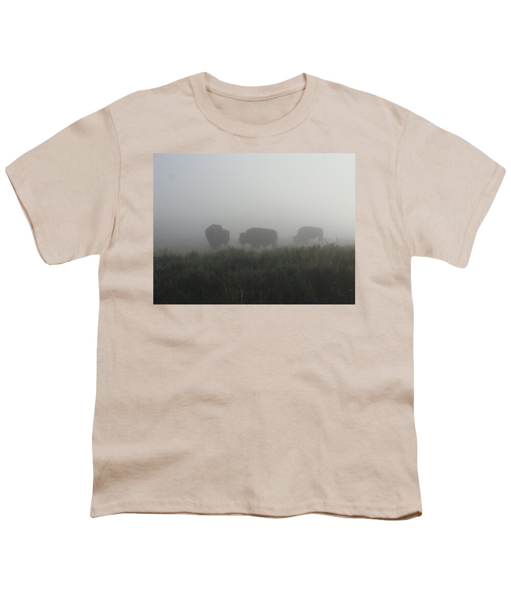 Buffalo Youth T-Shirt featuring the photograph Buffalo in the Mist by Stacy Abbott
