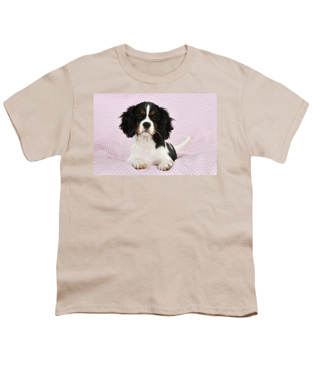 Dog Youth T-Shirt featuring the photograph Cavalier King Charles Puppy by John Daniels
