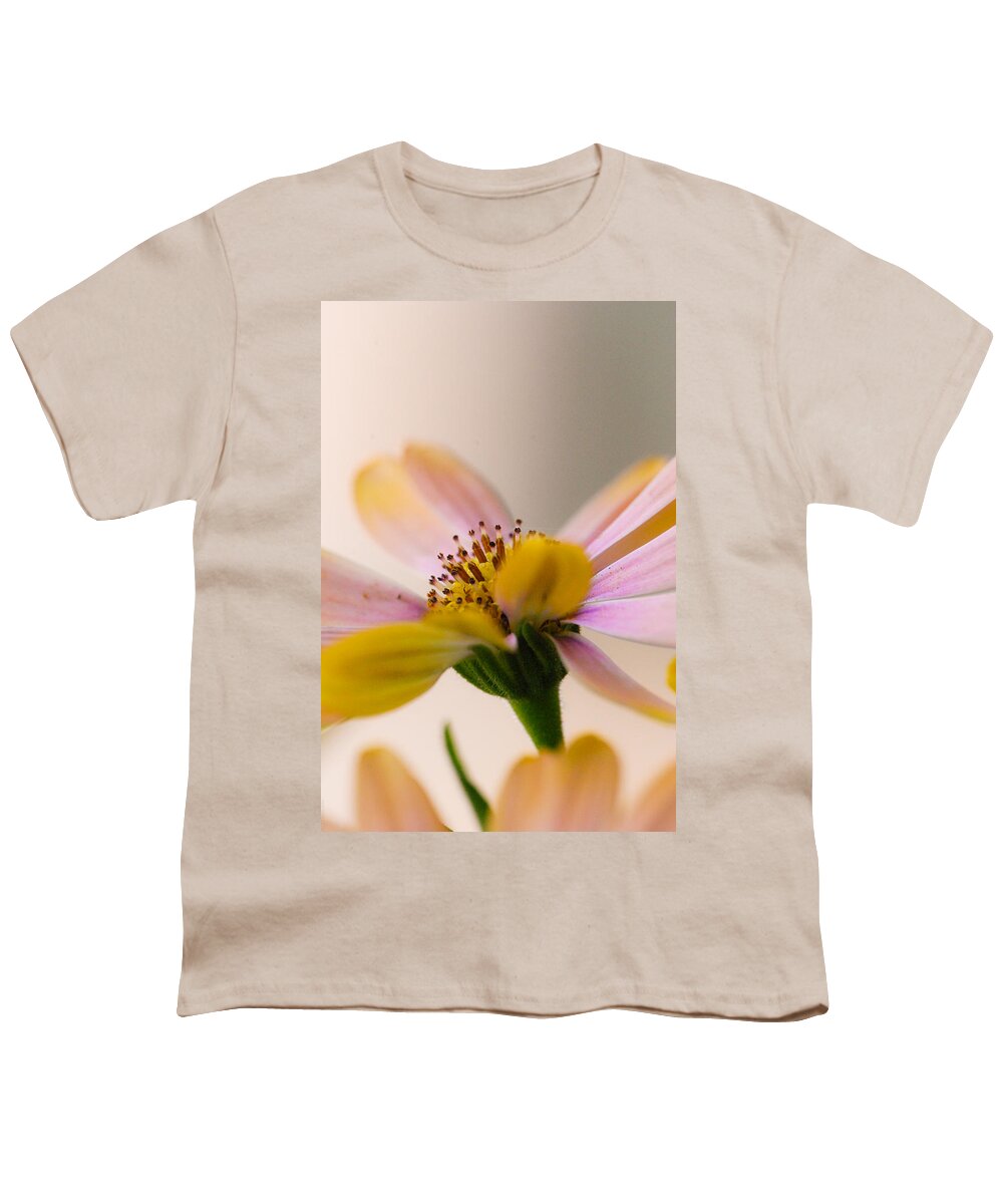 Spring Youth T-Shirt featuring the photograph Come Softly Spring by Debbie Karnes