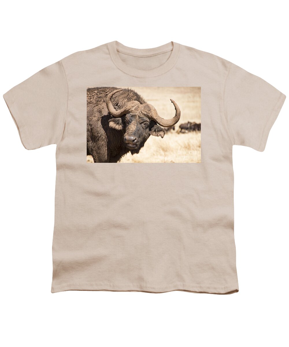 African Buffalo Youth T-Shirt featuring the photograph Covered in Mud V4 by Douglas Barnard