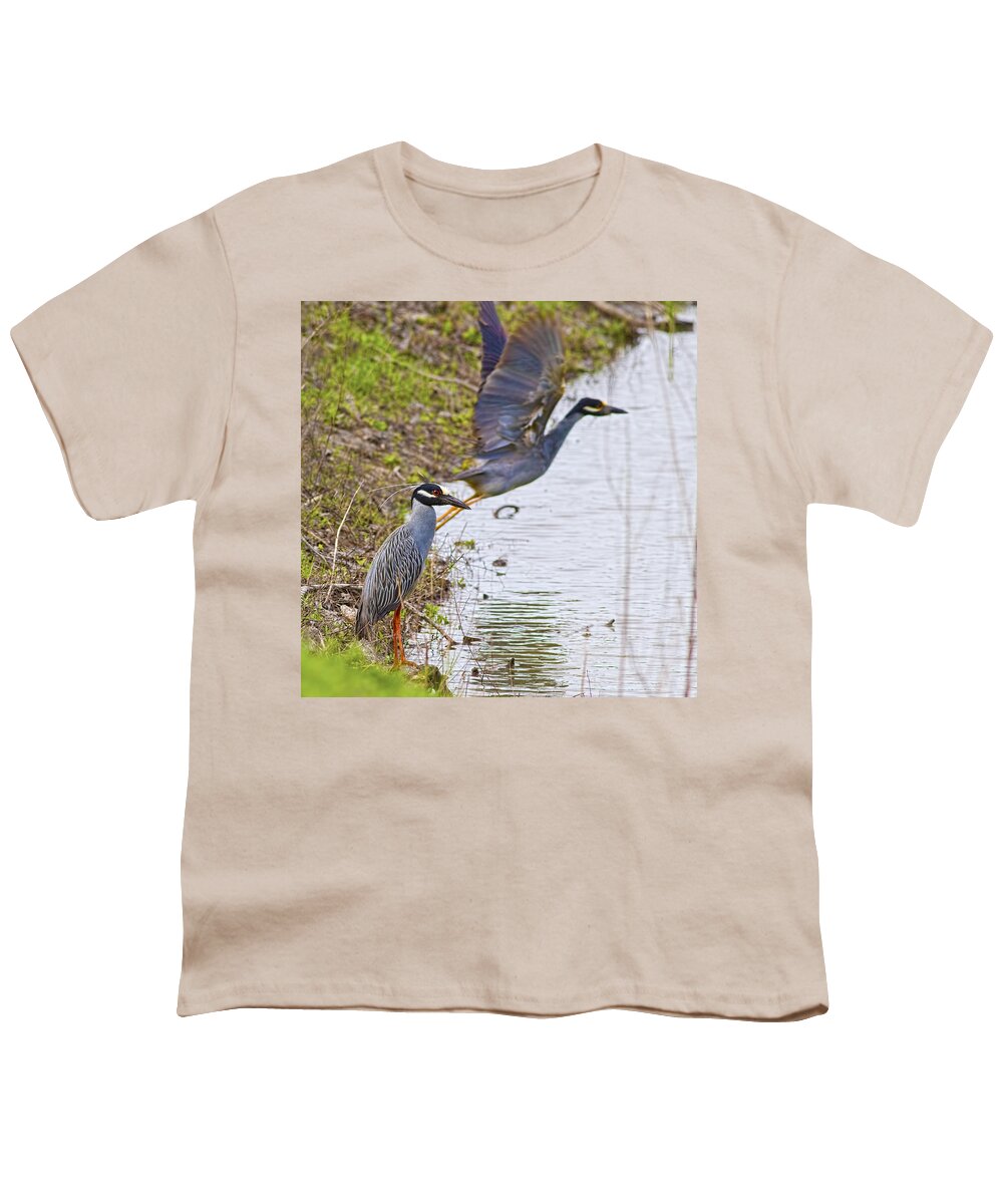 Yellow-crowned Night Heron Youth T-Shirt featuring the photograph Decisions by Gary Holmes