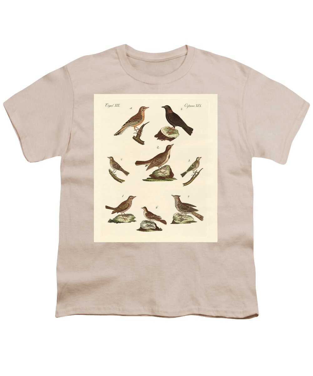 Skylark Youth T-Shirt featuring the drawing Different kinds of larks by Splendid Art Prints
