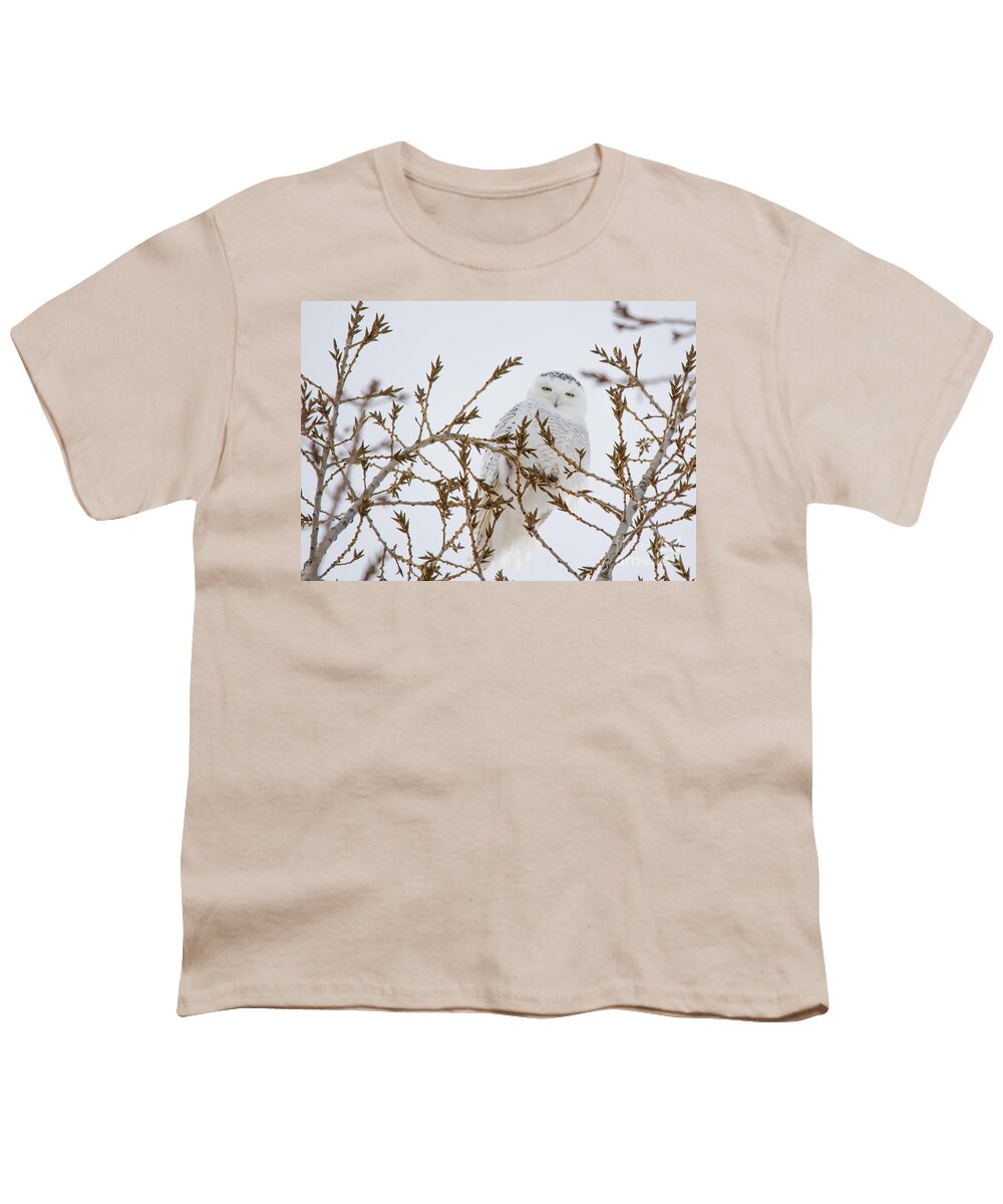  Sky Youth T-Shirt featuring the photograph Feeling Watched by Cheryl Baxter
