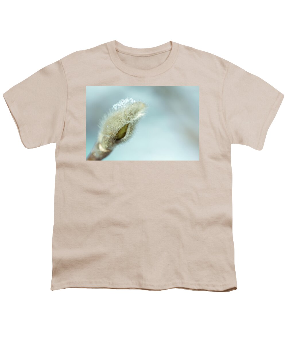 Tree Youth T-Shirt featuring the photograph Frost by Shane Holsclaw
