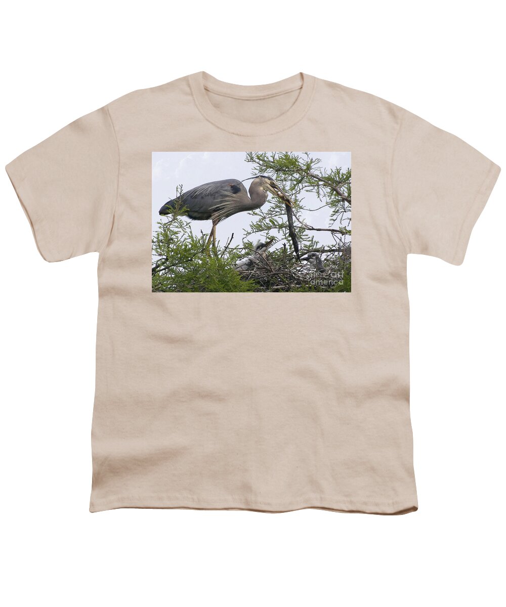 Birds Youth T-Shirt featuring the photograph Great Blue Heron Feeding It's Chicks by Kathy Baccari