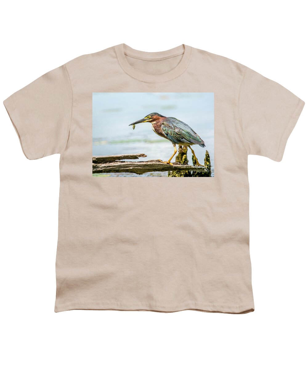 Green Feathers Youth T-Shirt featuring the photograph Green Heron Perfection by Cheryl Baxter