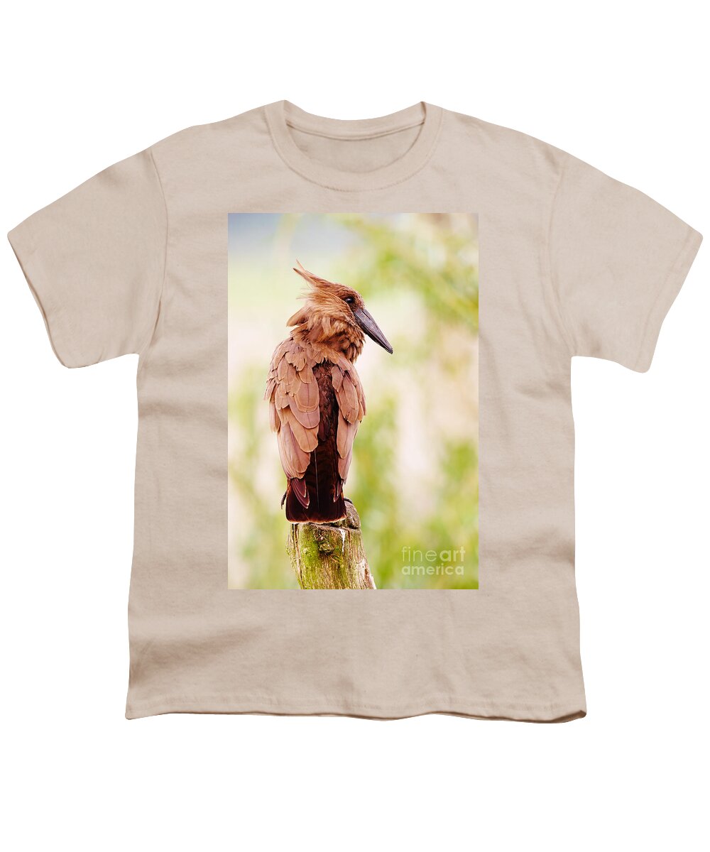 Hamerkop Youth T-Shirt featuring the photograph Hamerkop In A Tree by Nick Biemans