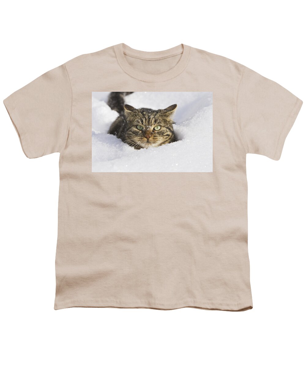 Feb0514 Youth T-Shirt featuring the photograph House Cat In Deep Snow Germany by Konrad Wothe