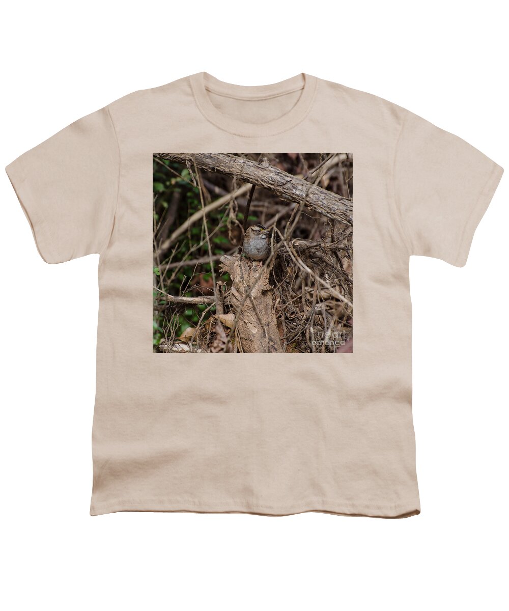 Bird Youth T-Shirt featuring the photograph Immature White-Throated Sparrow by Donna Brown