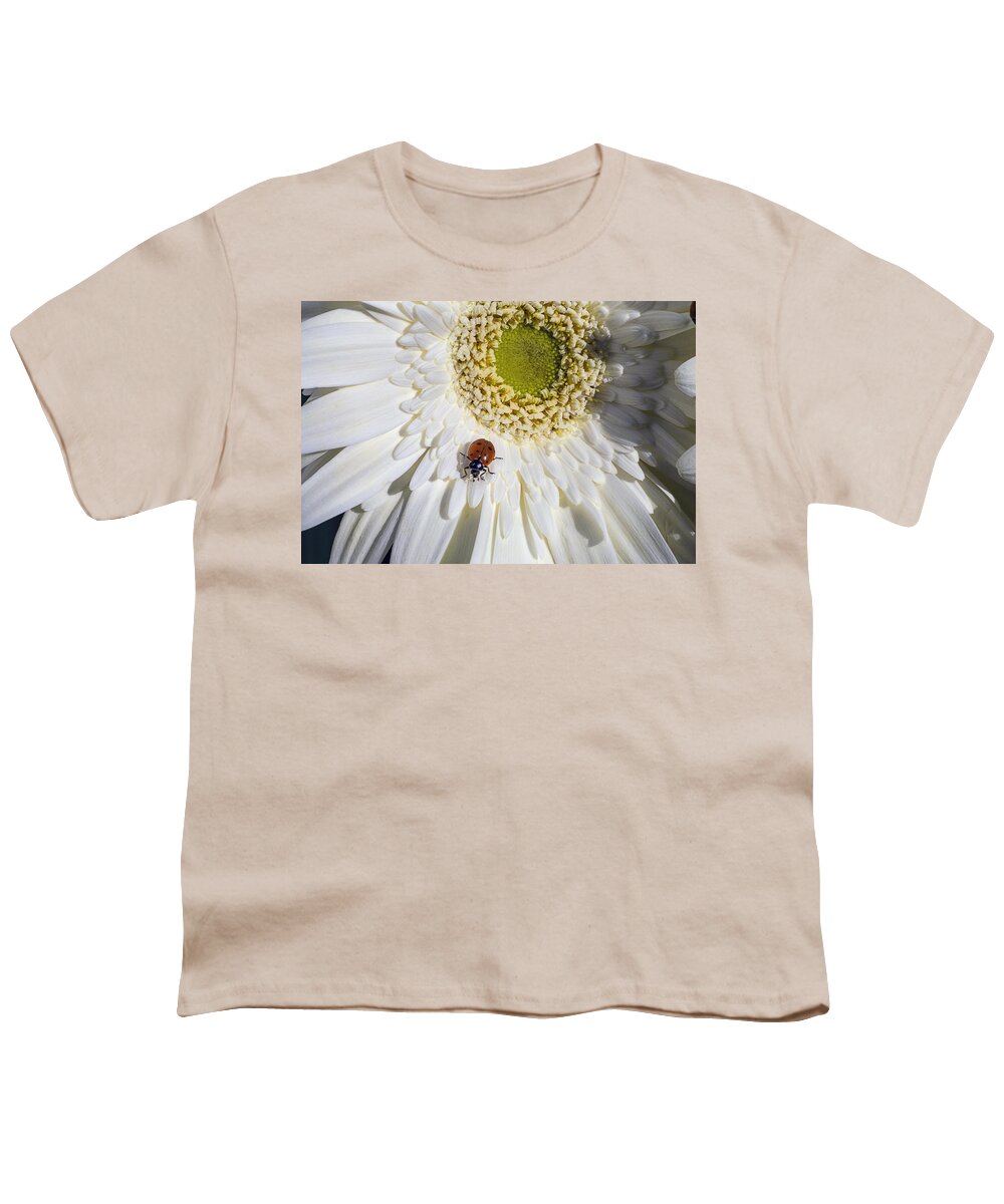 Ladybugs Bug Youth T-Shirt featuring the photograph Ladybug by Garry Gay